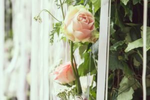 banketi_kazas_smarde_slokenbekas_muiza_milzkalne031
