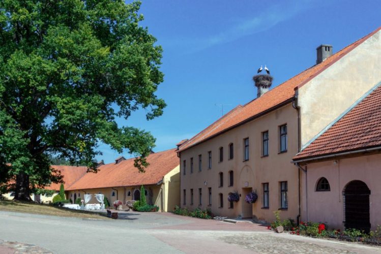 slokenbekas_muiza_milzkalne_laulibu_ceremonija_pagalms011