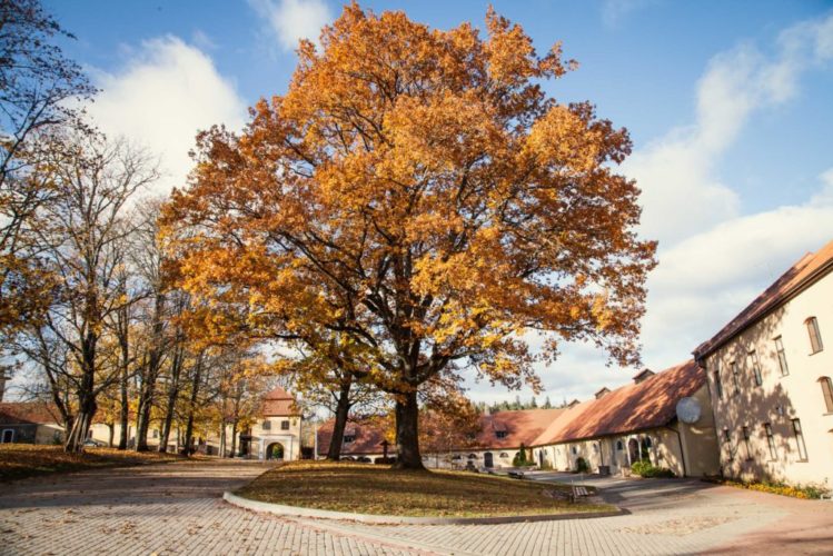 smarde_slokenbekas_muiza_milzkalne_engure033