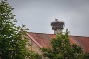smarde_slokenbekas_muiza_milzkalne_engure036